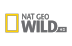 logo kanały telewizyjnego